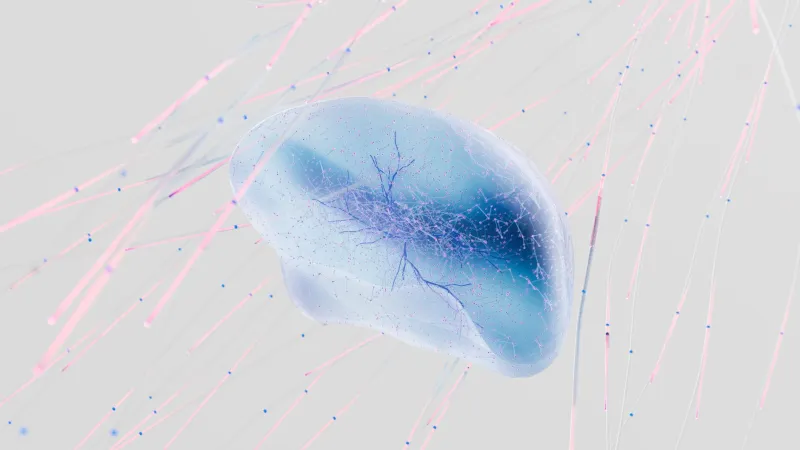 Forgetting Isn't Failing — Your Brain Is Running a Smarter Algorithm Than You Think