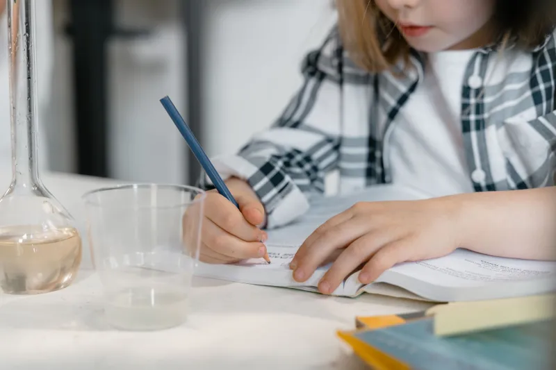 The Hidden Learning System Inside Your Brain That Nobody Taught You to Use